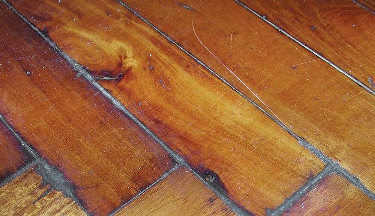 Cómo lograr una perfecta reparación de pisos de madera