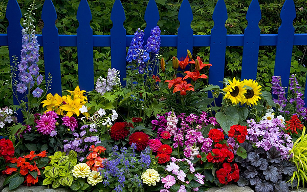Brecolaje y jardinería con flores de temporada