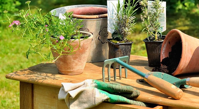 Bricolaje y jardinería: herramientas de jardinería para crear un jardín en casa 