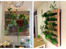 Cómo hacer un jardin vertical casero: Colocación
