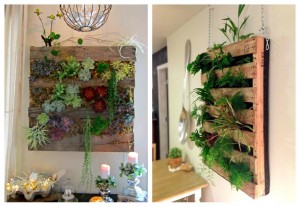 Cómo hacer un jardin vertical casero: Colocación