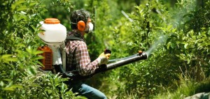 Equipo de fumigación para eliminar y ahuyentar mosquitos y otras plagas