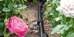 Sistema de riego automatizado para jardines y huertos de pequeño y gran tamaño: Riego profundo y superficial