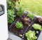 Sistema de riego automatizado para jardines y huertos de pequeño y gran tamaño