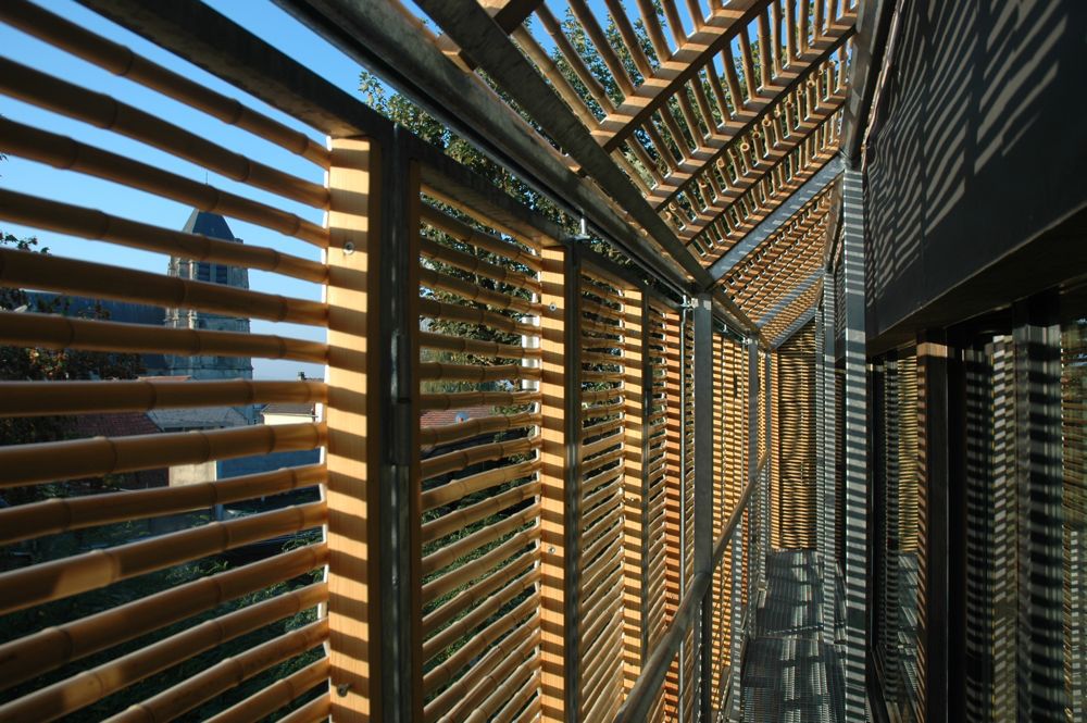 Construcción con bambú: estructura