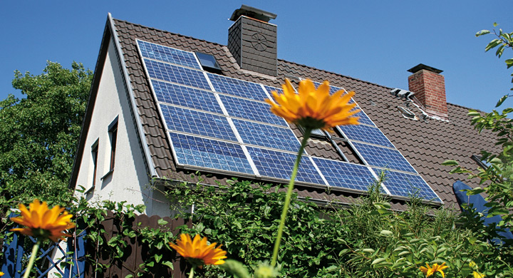 cristiano necesario Grillo Paneles solares para casas: qué tipo y cuantos necesitas