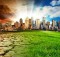 Cómo evitar el calentamiento global | 10 cosas concretas que puedes hacer