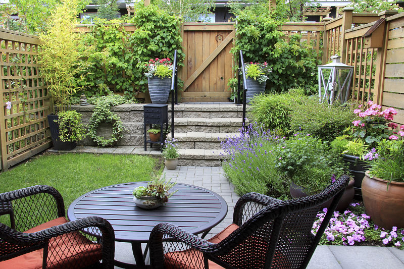 Small townhouse garden with patio furniture amidst blooming lavender.