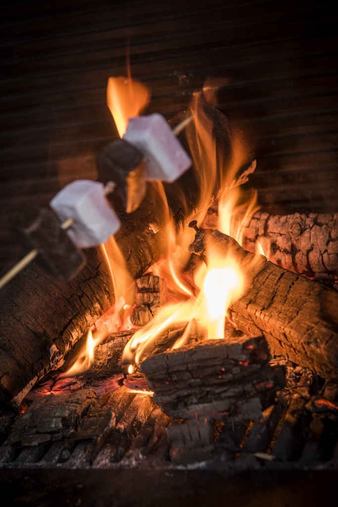 Cómo Preparar una Parrillada Exitosa en Invierno